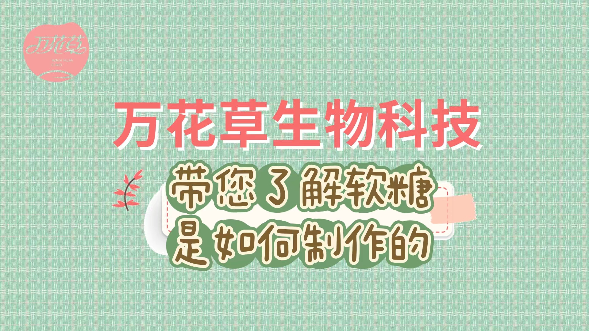 软糖代加工生产工艺流程，带您了解糖果是如何制作的