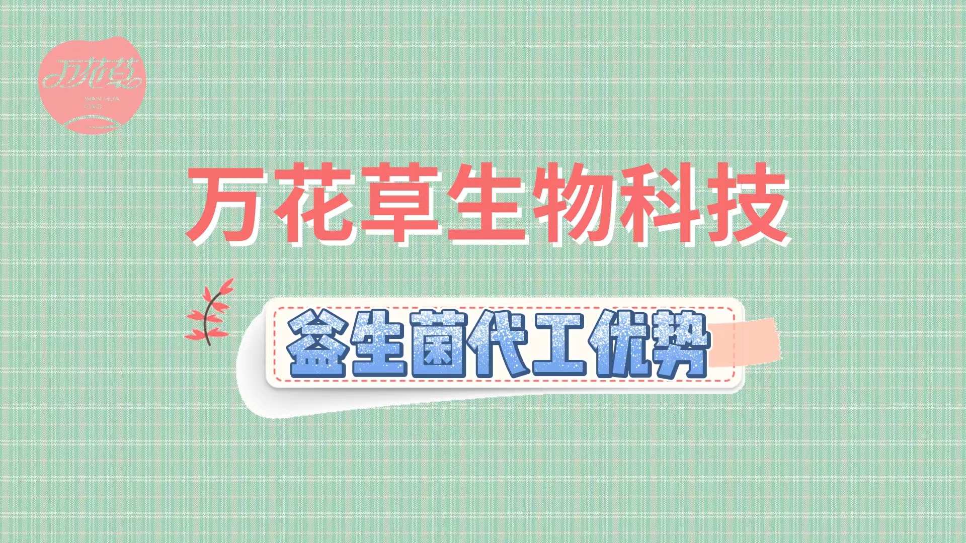 万花草益生菌固体饮料行业分析及代工优势