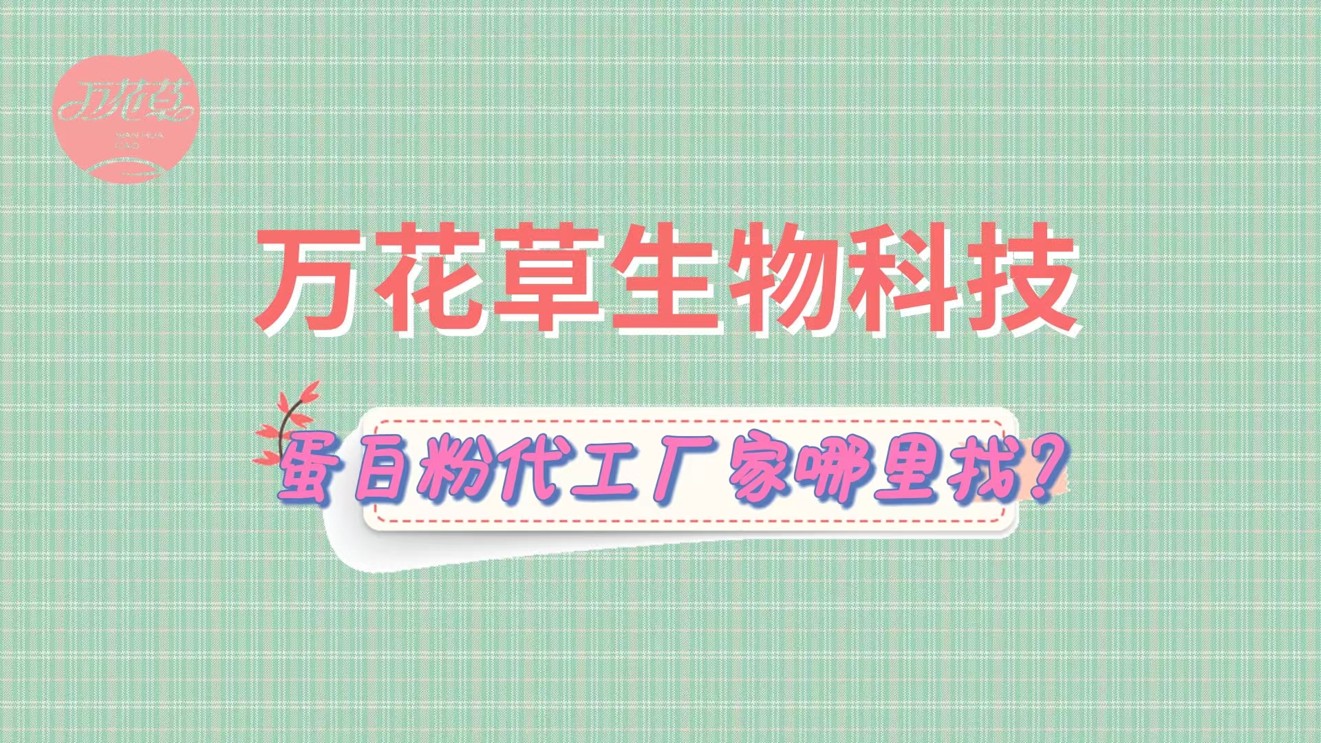 蛋白粉代加工，怎么找专业源头厂家？