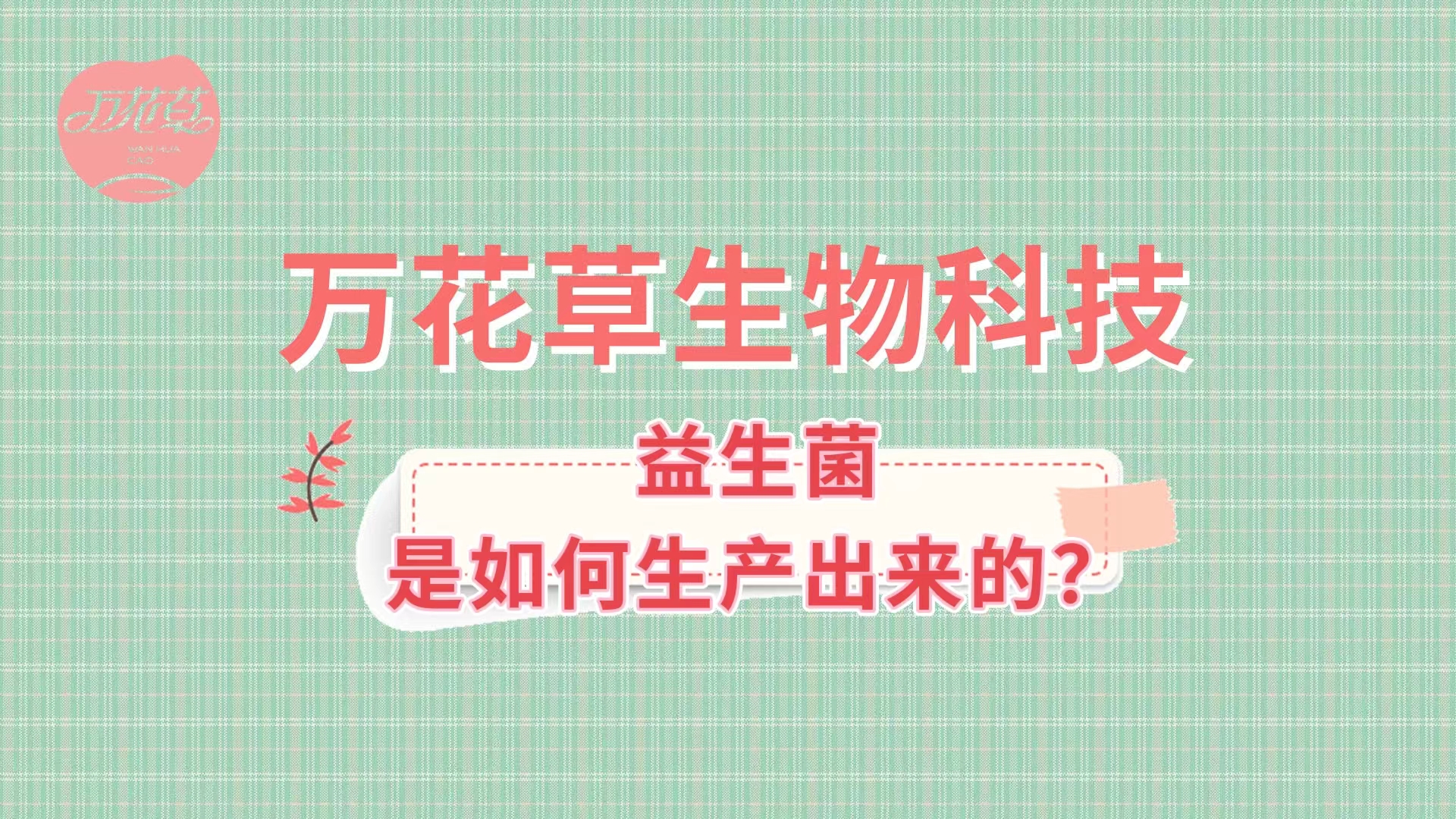 带您了解益生菌是如何生产出来的,好的厂家哪里找？