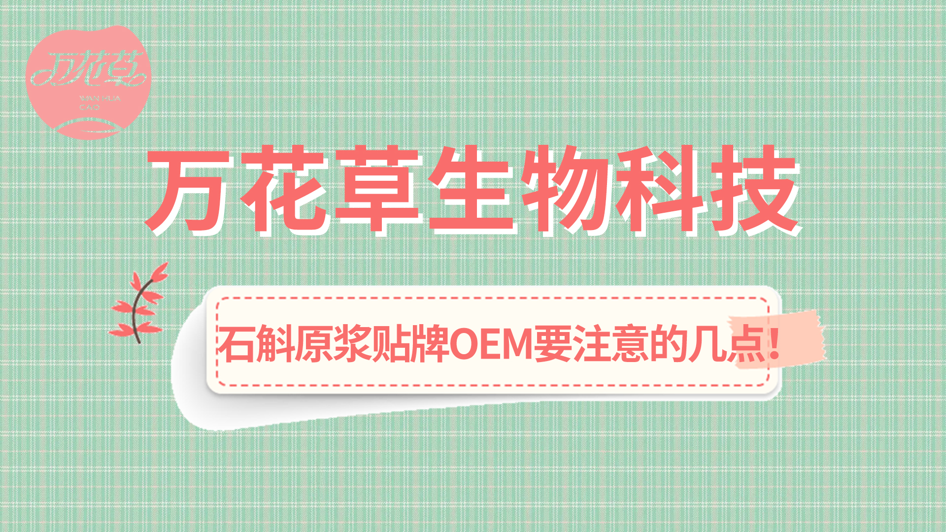 石斛原浆贴牌oem您需要注意哪几点？